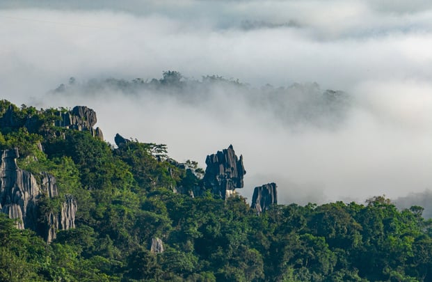outdoor activities in the philippines - masungi