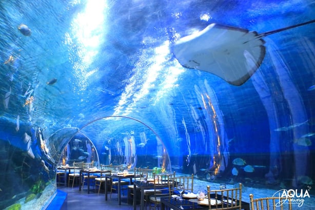 outdoor activities in the philippines - manila ocean park