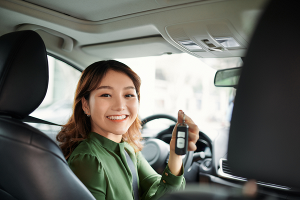 lto car registration renewal - faqs