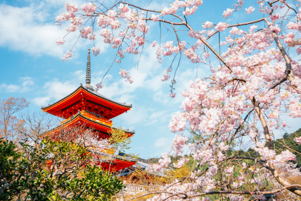 best places to travel alone - japan