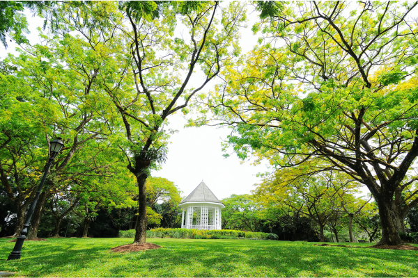 travel to singapore from the philippines - botanic gardens