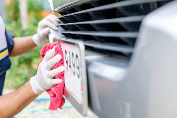 lto plate number check availability - lto plate number delay timeline