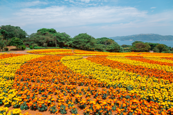 japan travel tips - fukuoka