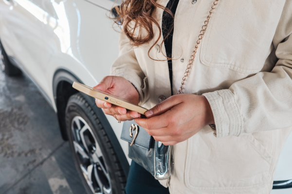 lto plate number check availability 