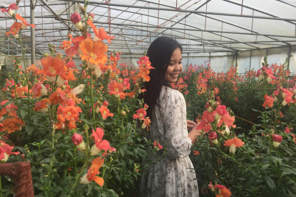 baguio travel guide - baguio botanical garden